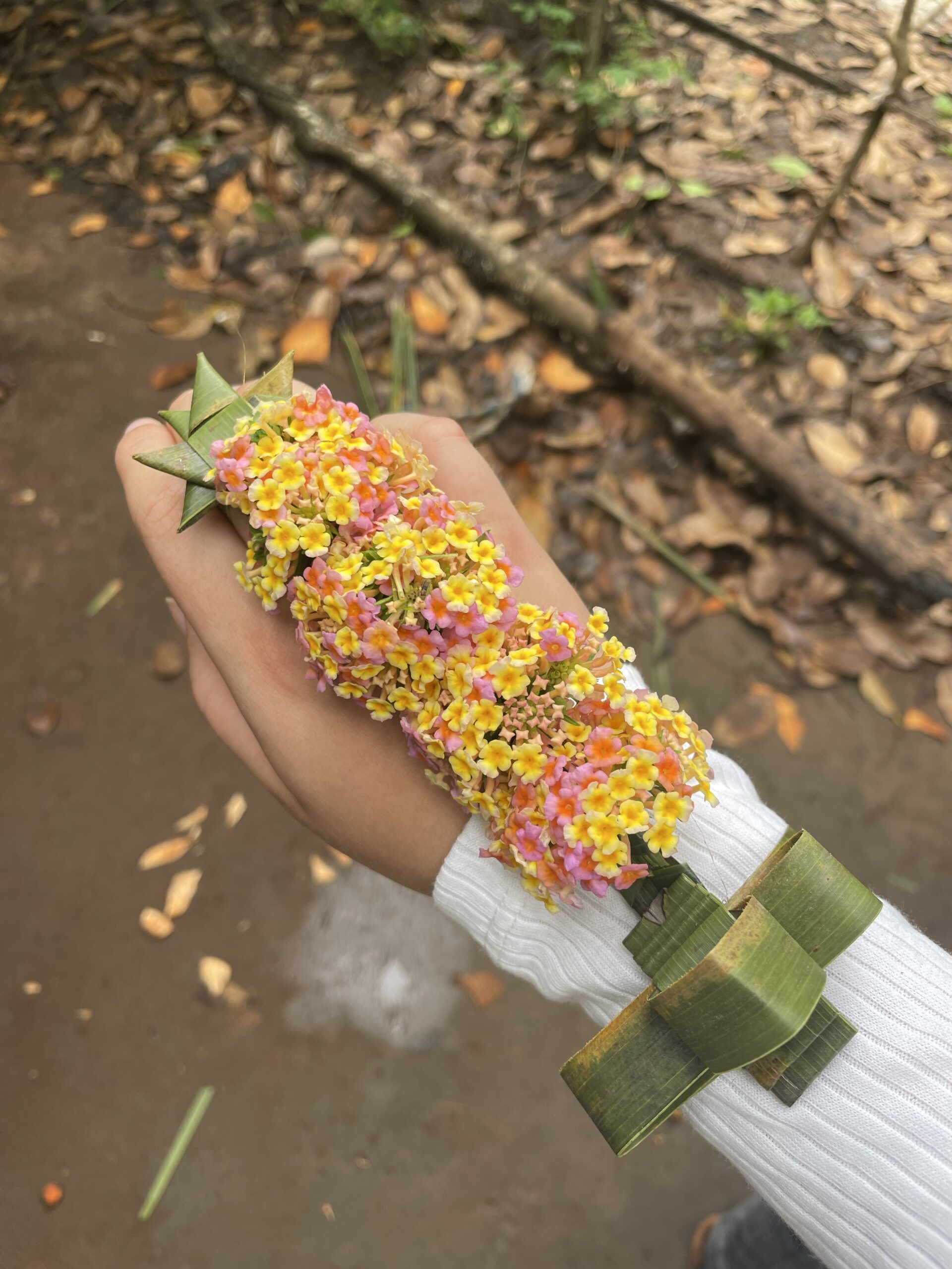 Sansibar Gewürztour Blumenarmband Selbstgemachtes Blumenarmband auf der Gewürztour auf Sansibar.