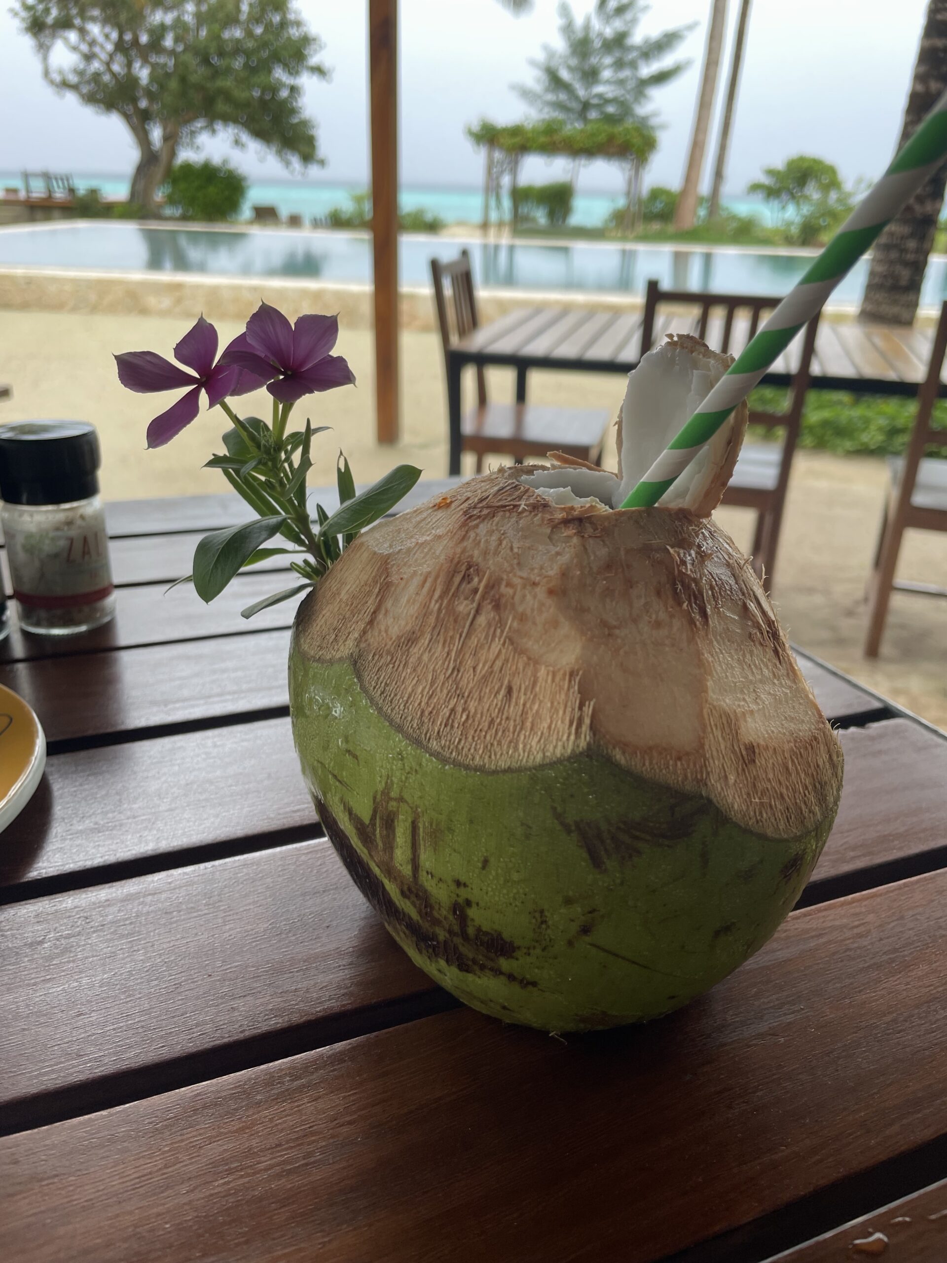 Sansibar Kizikula Kokosnuss Kokosnuss im Hotel Kizikula