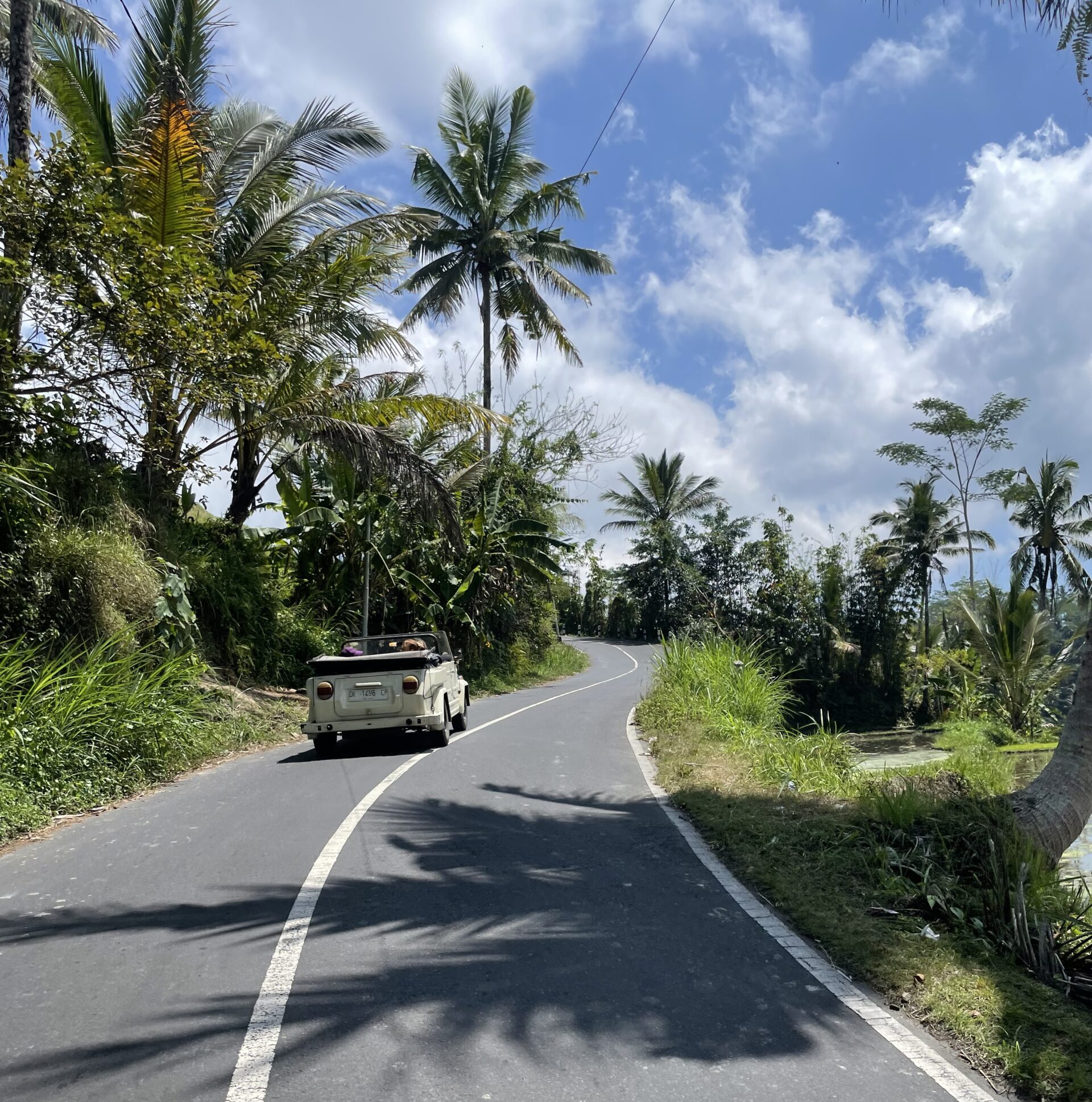Kübelwagen-Tour auf Bali Eine Erkundungstour auf Bali mit einem Kübelwagen. Lerne mit einem lokalen Guide die Umgebung um Ubud kennen.