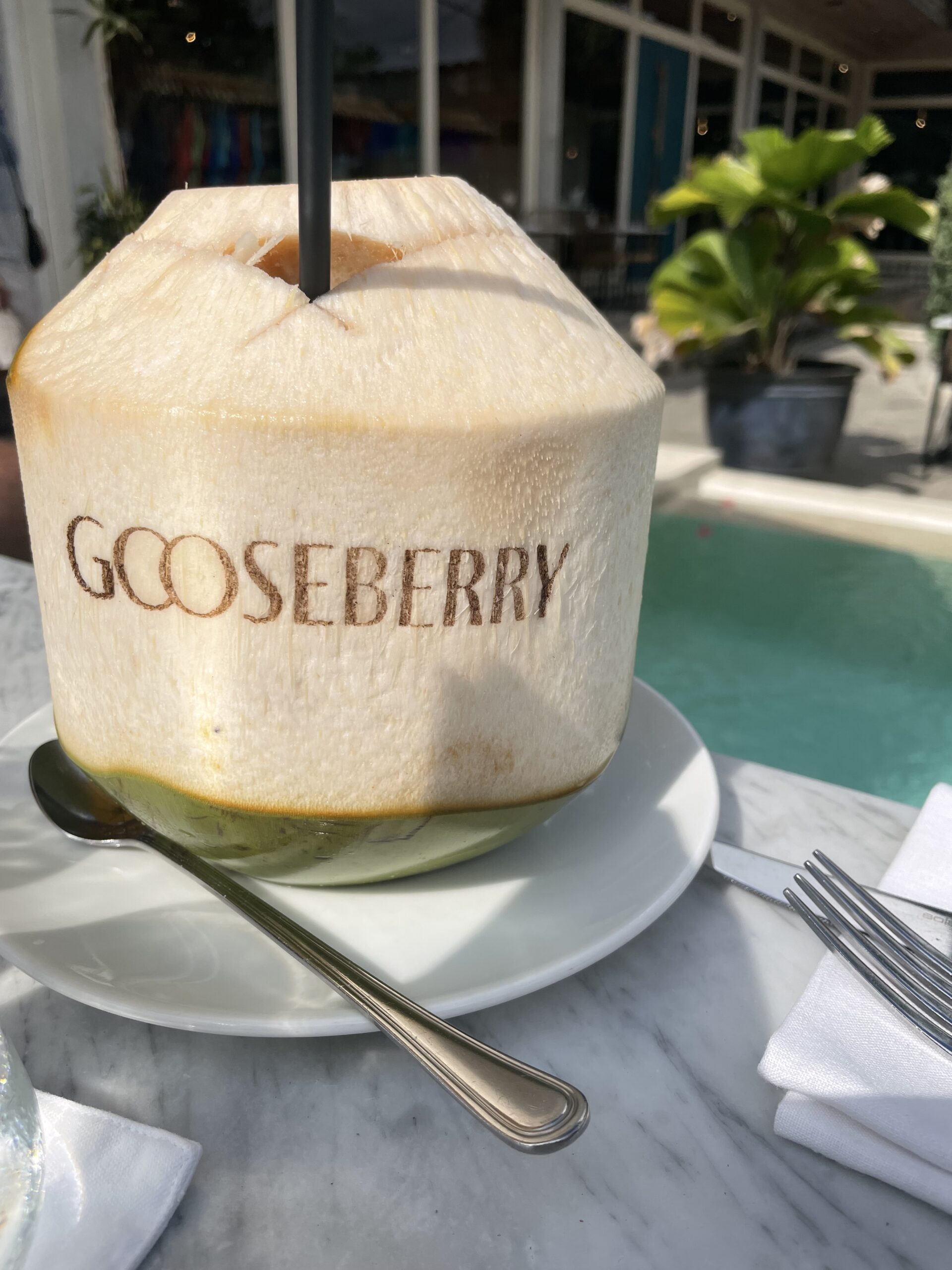 Gooseberry Eine frische Kokosnuss im Restaurant Gooseberry in Uluwatu auf Bali