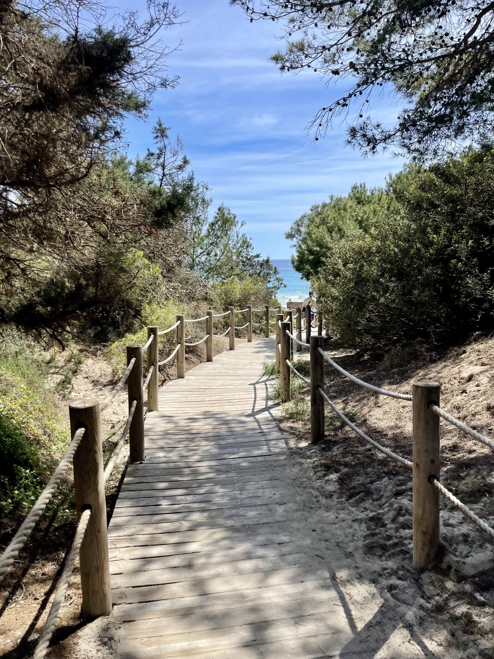 Steg zum Strand Playa ses Salines auf Ibiza