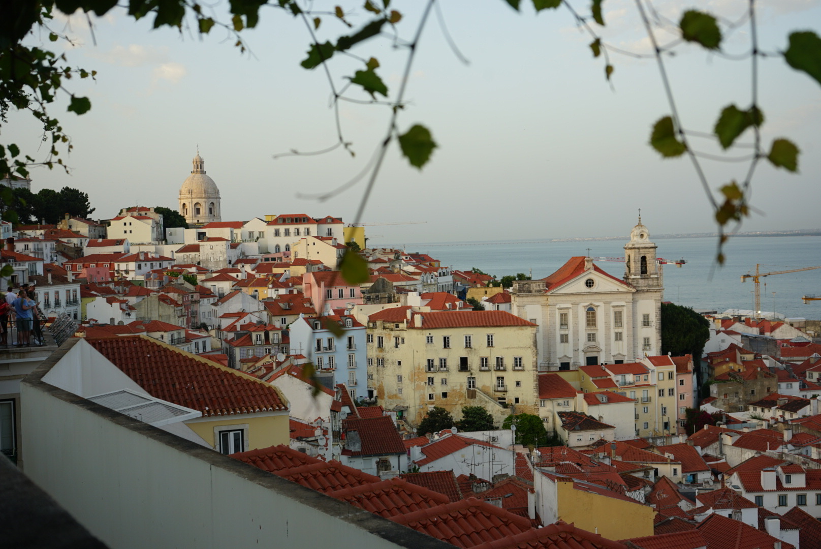 Die Aussicht in Lissabon am Miradouro de Santa Luzia auf die roten Dächer und den Tejo
