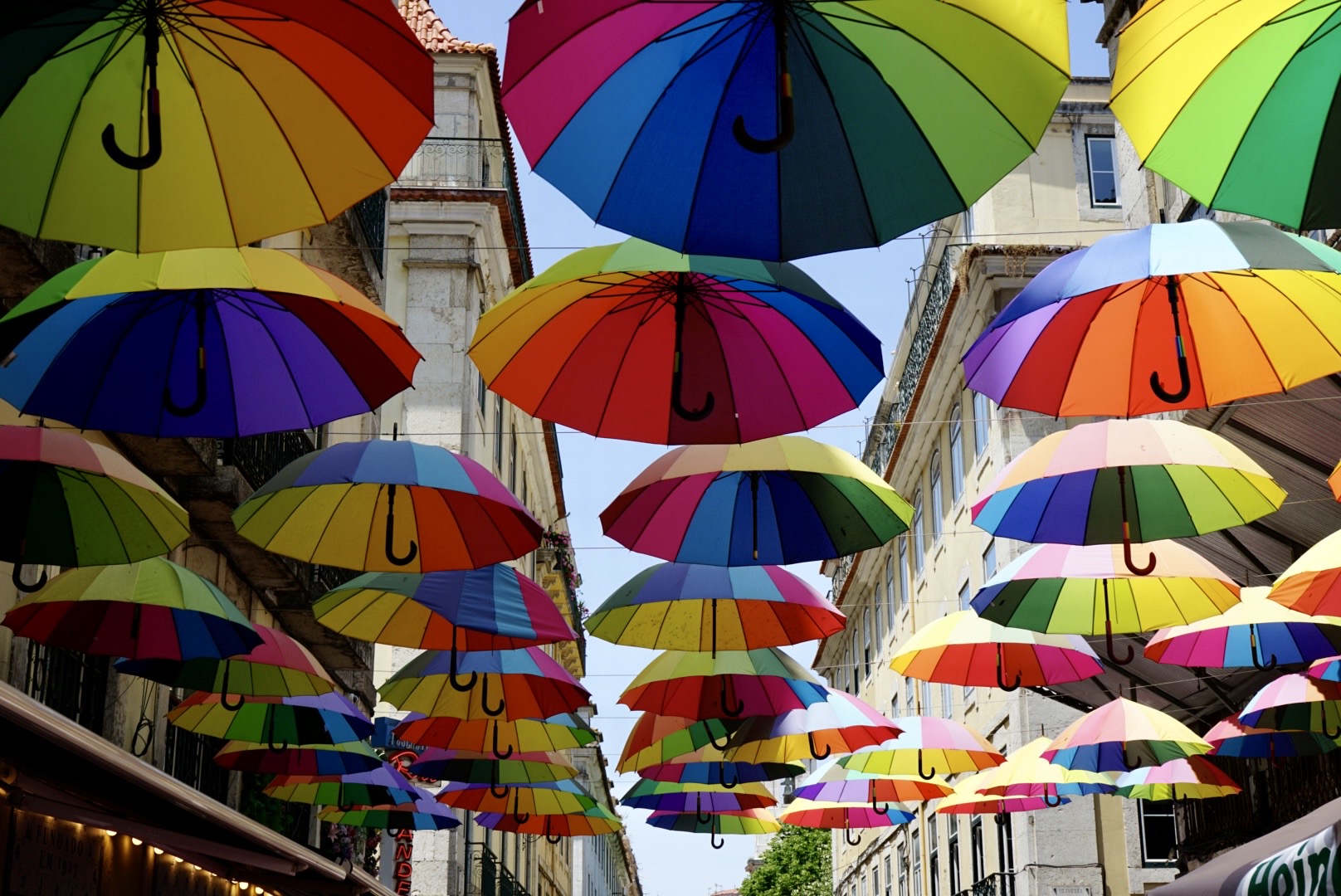 Die bunten Regenschirme, welche über der Pink Street in Lissabon hängen
